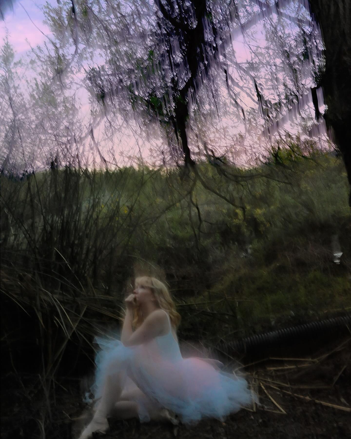 Photography Portfolio